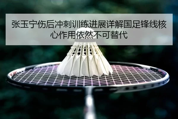 张玉宁伤后冲刺训练进展详解国足锋线核心作用依然不可替代